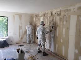 Forensic Mold Investigation in East Merrimack, NH